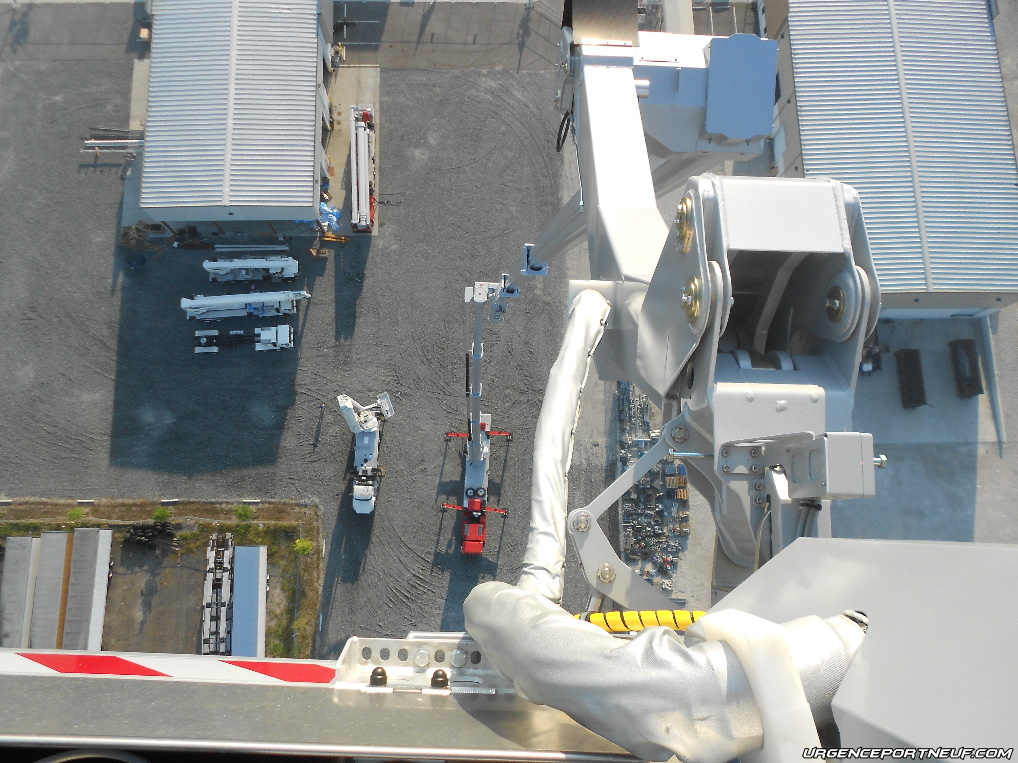 Bronto04