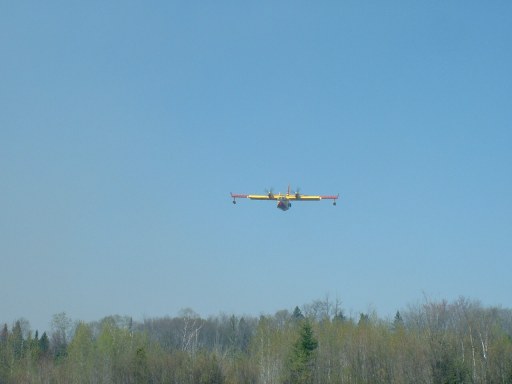 foret16