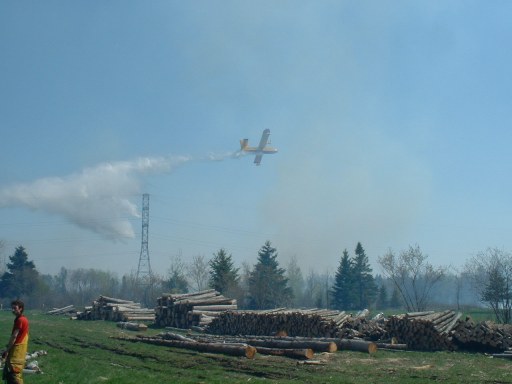 foret18