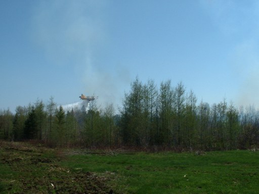 foret20