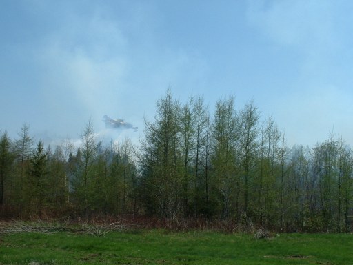 foret21