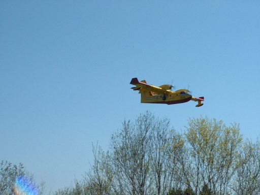 foret22