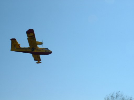 foret28