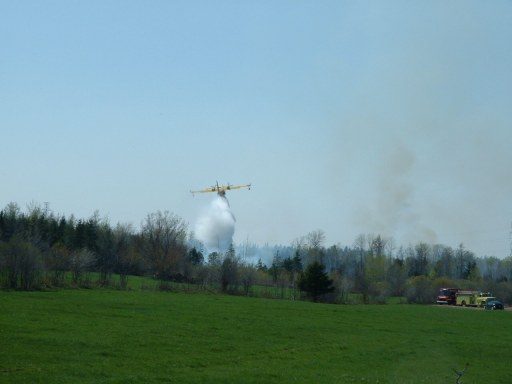 foret34